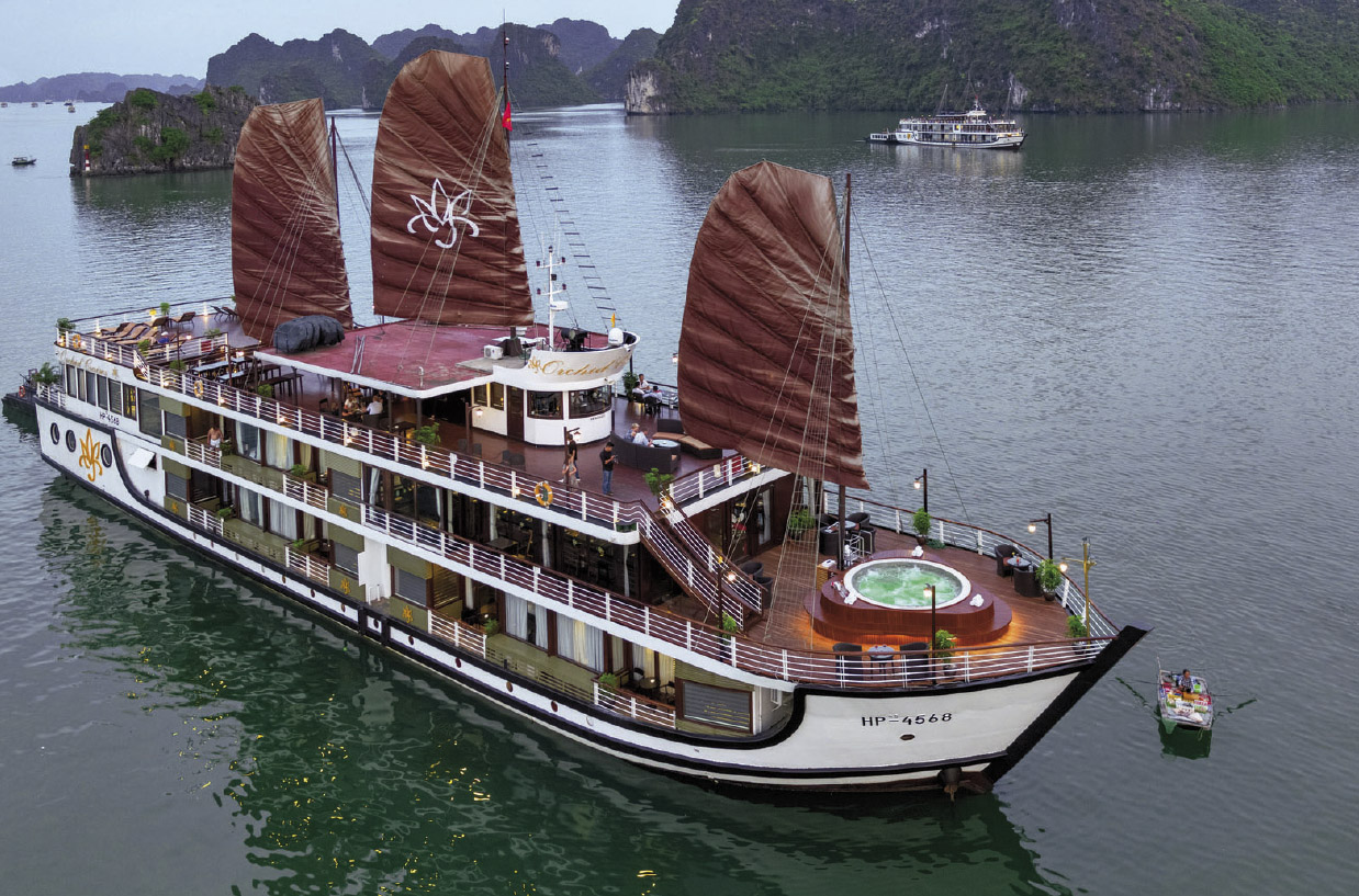 Halong Schiff Orchid